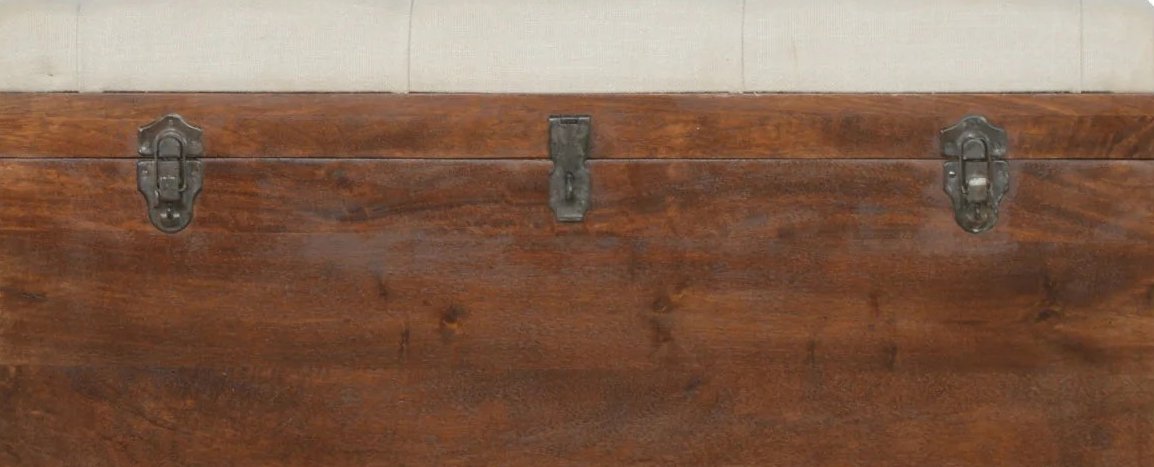 Storage Trunk