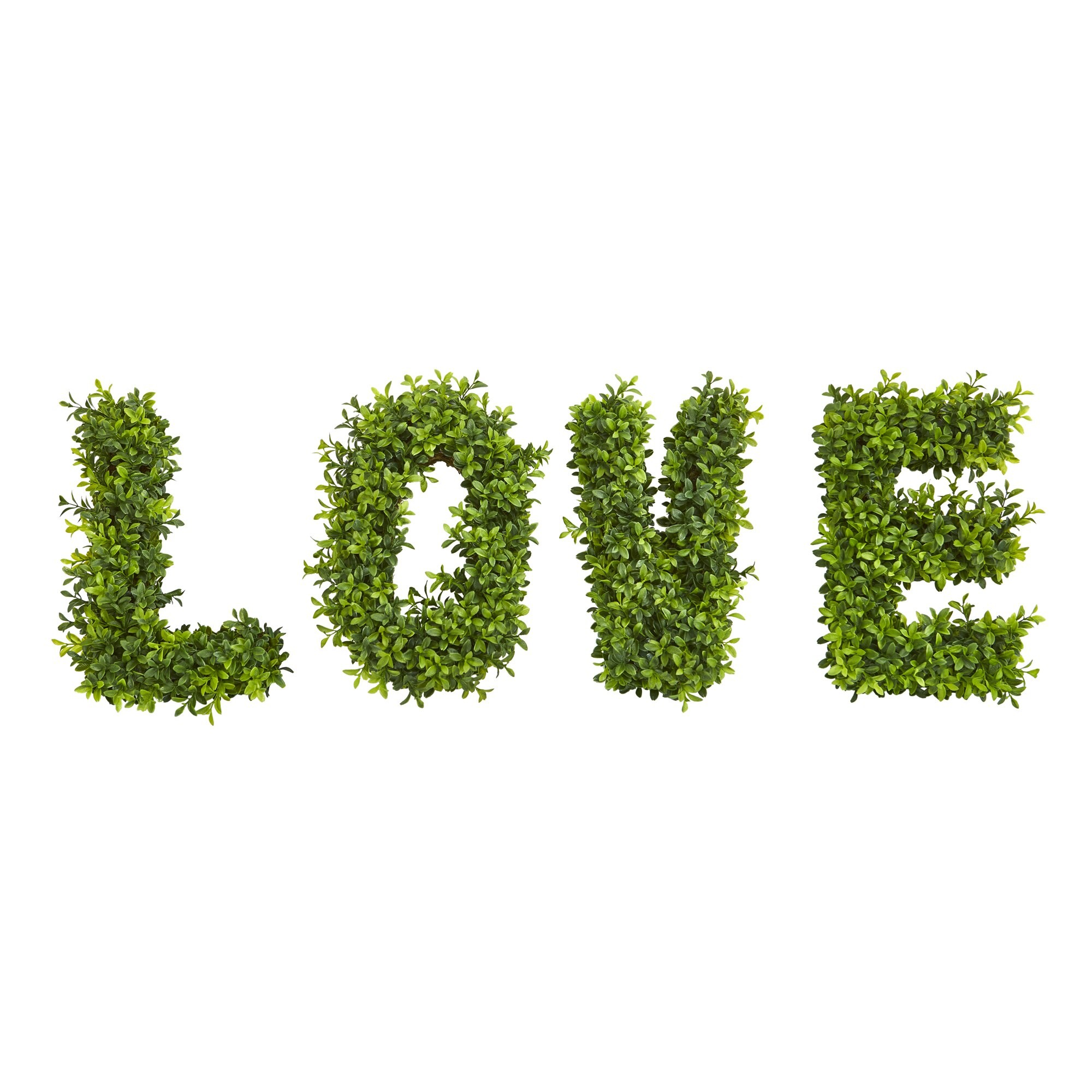 Grass Love Plant