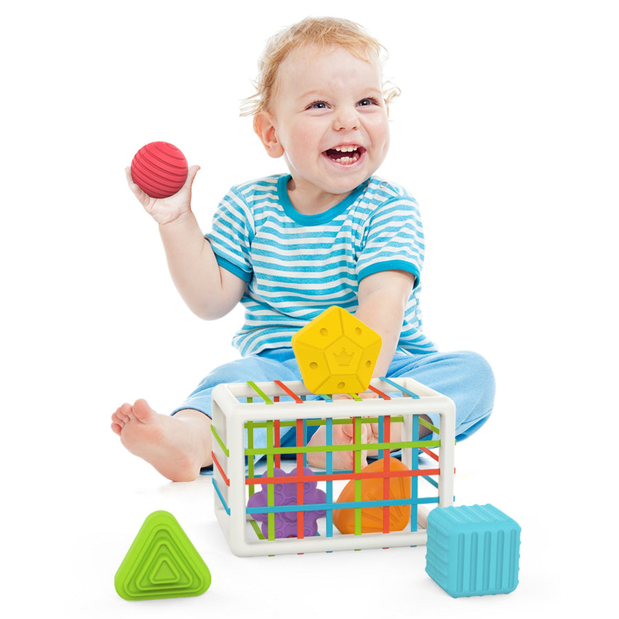 Baby Grip Training Toy Fine Motor Skill Development Sensory Blocks