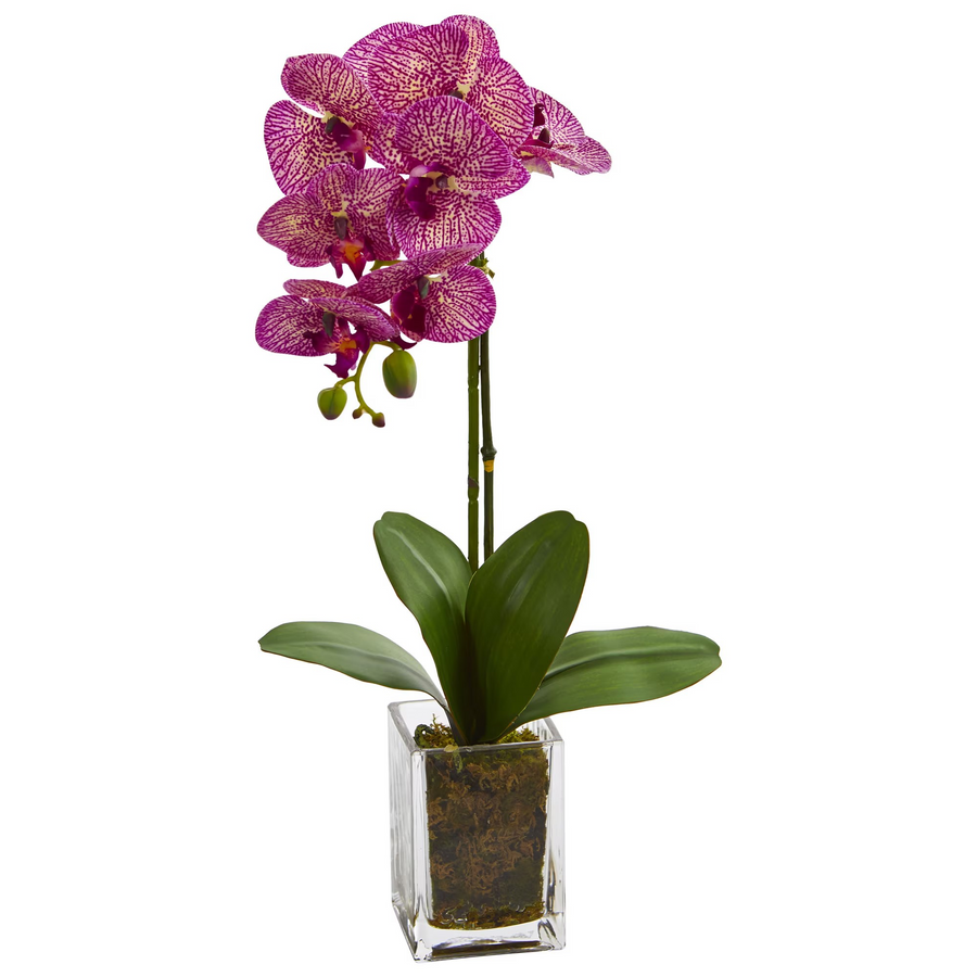 24” Orchid Phalaenopsis Artificial Arrangement in Vase (Pink)