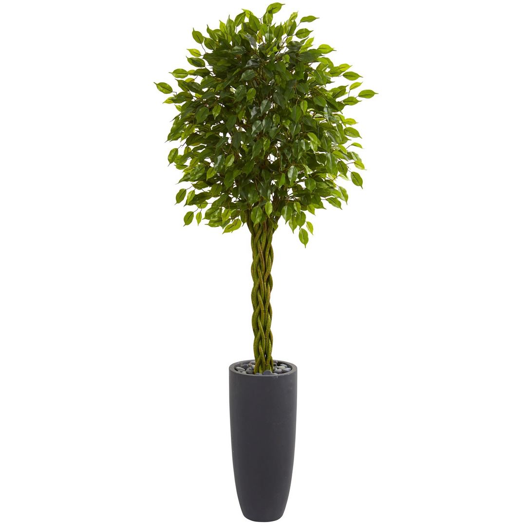 6.5’ Braided Ficus Artificial Tree in Cylinder Planter UV Resistant (Indoor/Outdoor)