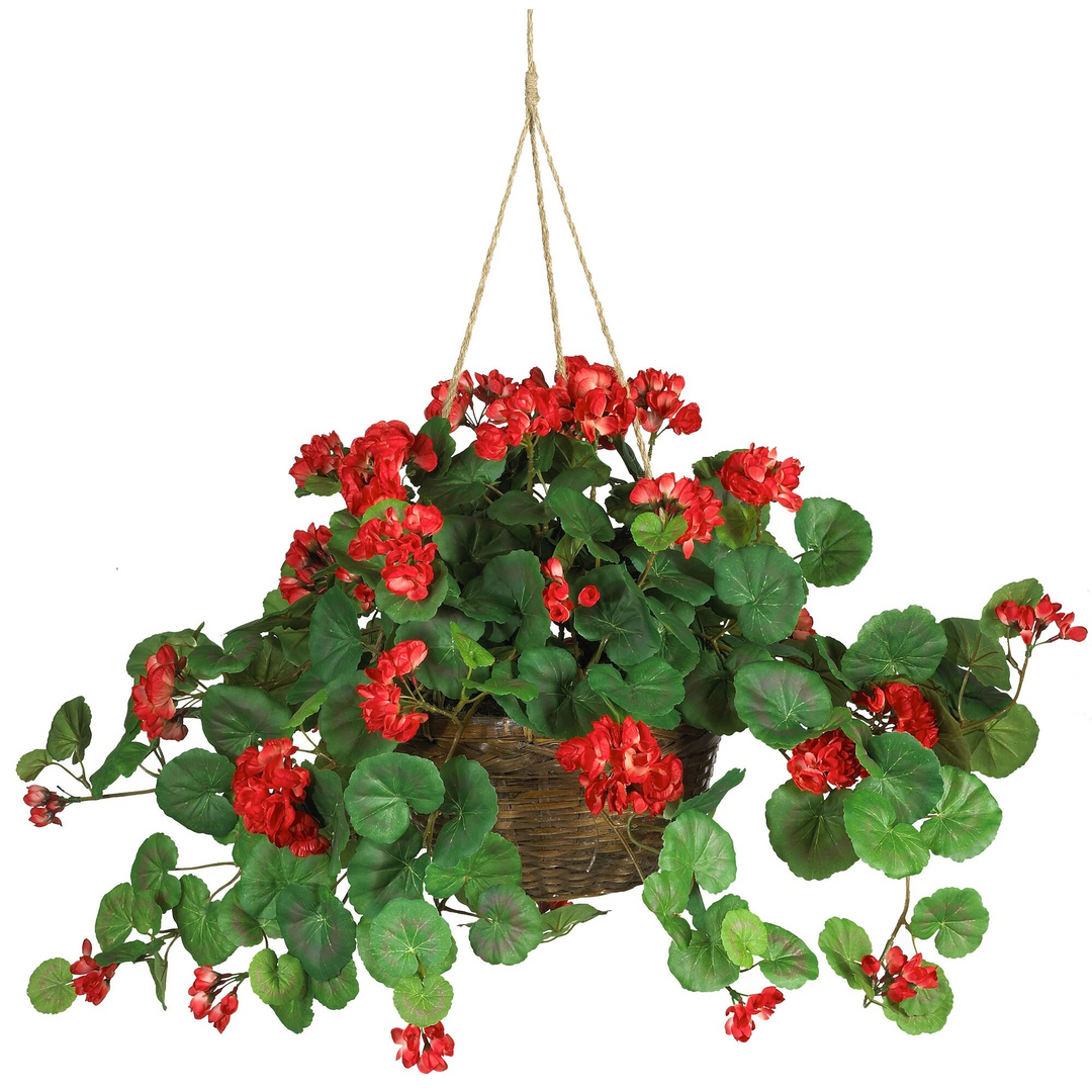 Geranium Hanging Basket Silk Plant Red