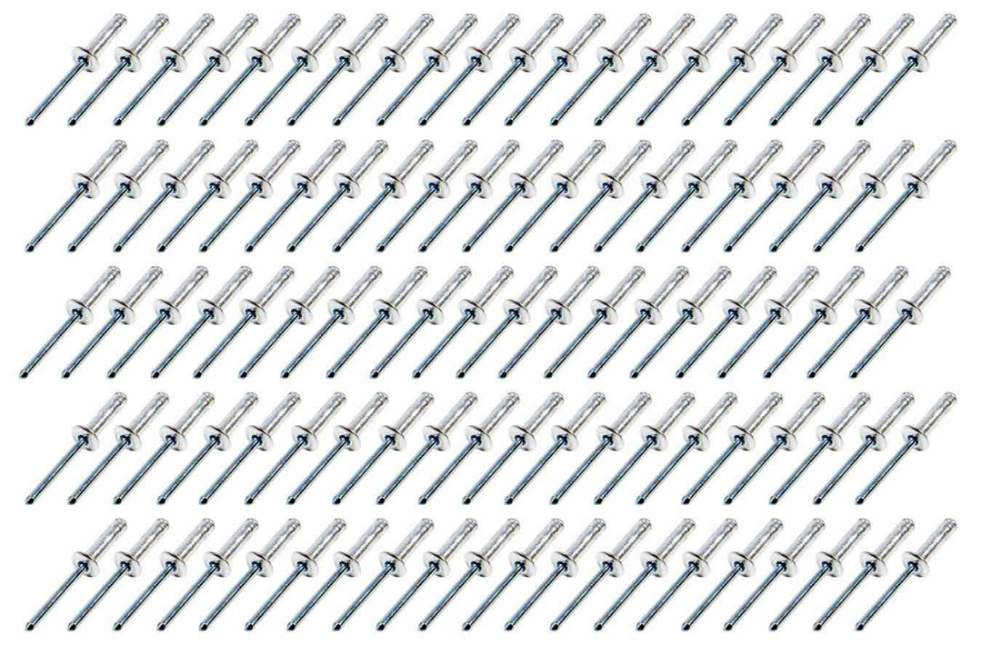 Small Head Rivet Silver 100pc 3/16in