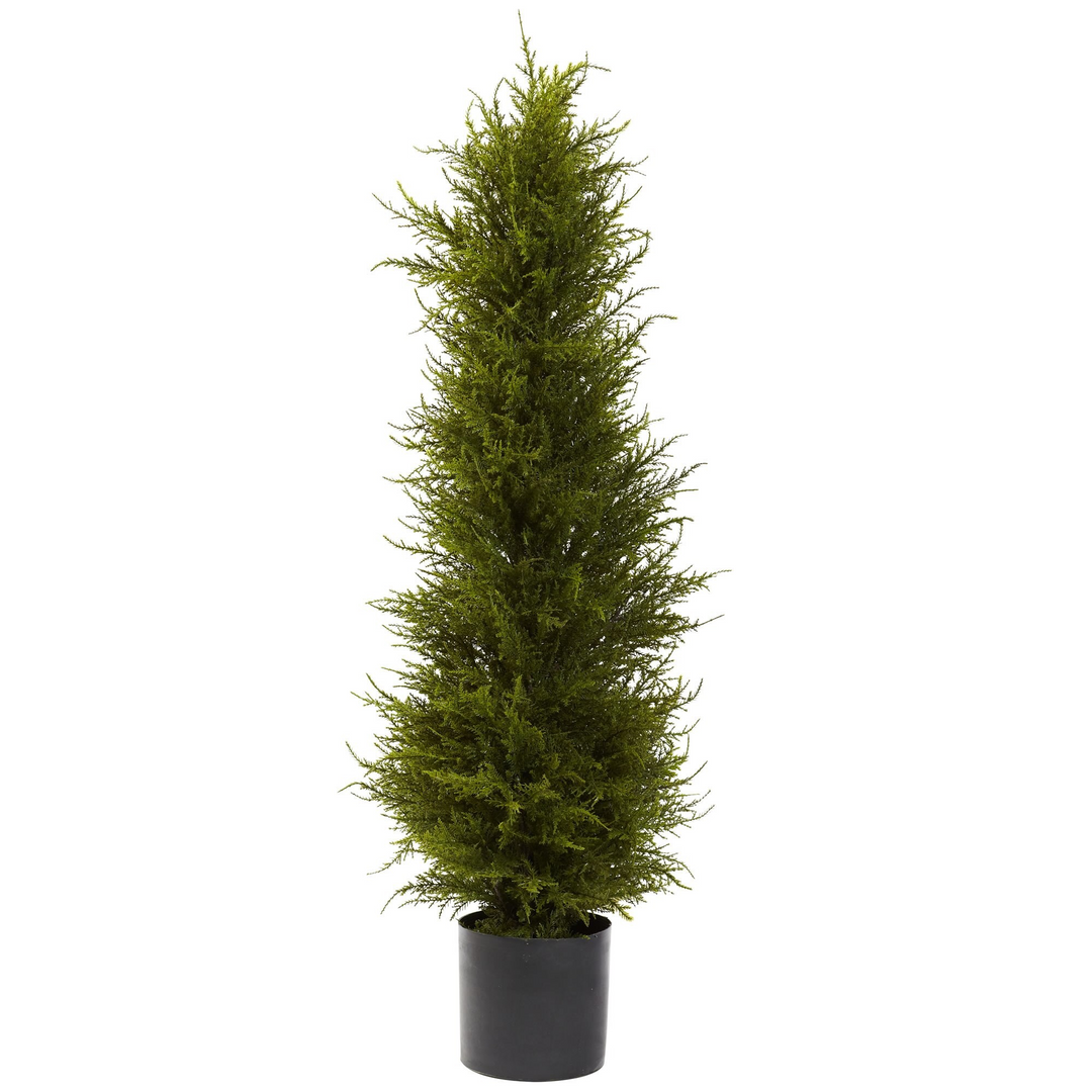 42” Cedar Tree