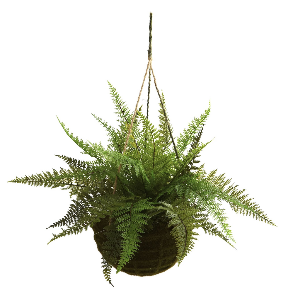 Leather Fern w/Mossy Hanging Basket (Indoor/Outdoor) (Set of 2) Zoomed
