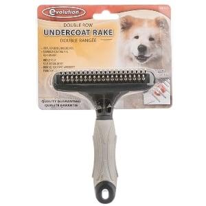 Dogs