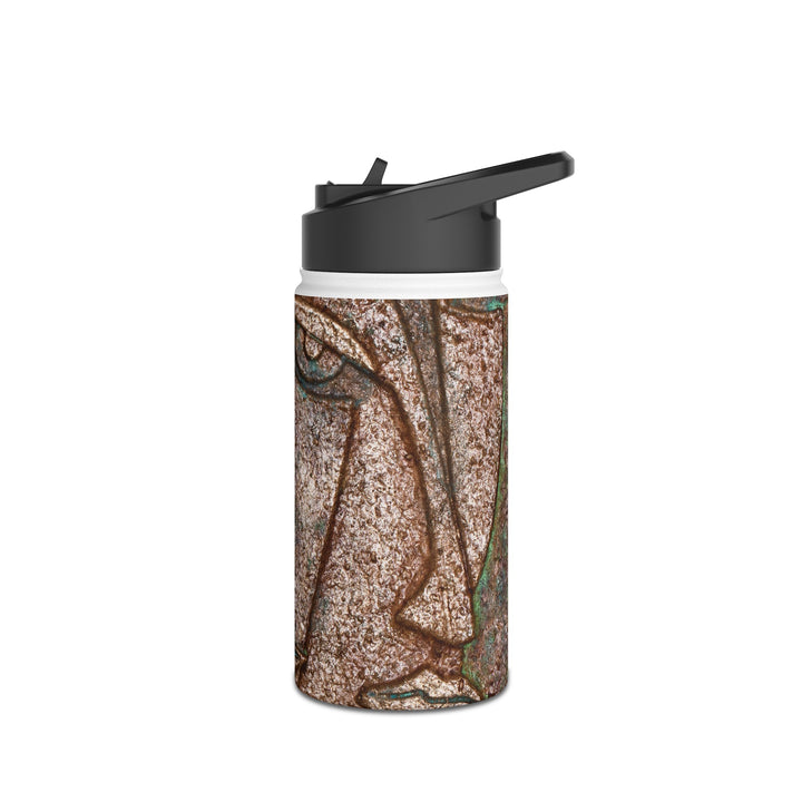 Faces Stainless Steel Water Bottle, Standard Lid