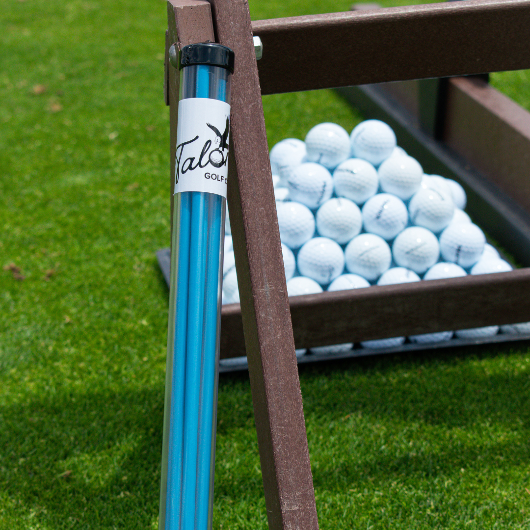 Talon Pro Training Alignment Stick