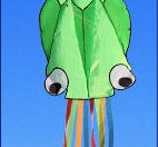 Green kite shaped like a squid with rainbow strings on a blue background.