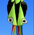 Colorful kite with a green body and black wings on a blue background.