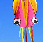 3D Octopus Kite with Handle and Line Photo