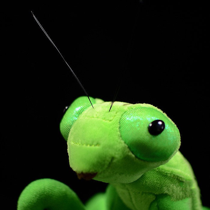 Green plush toy mantis with black eyes on a black background
