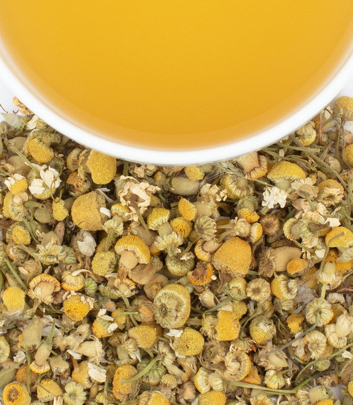 Chamomile flowers with a cup of chamomile tea.
