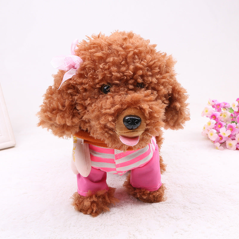 Small dog wearing a pink outfit with a white background.