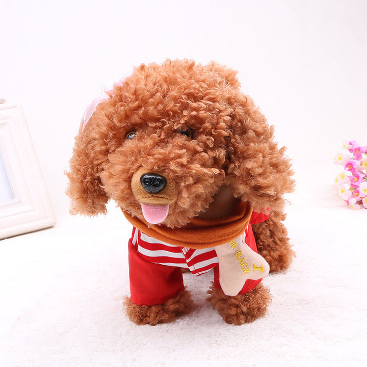 Small brown dog wearing a red outfit with a white background.