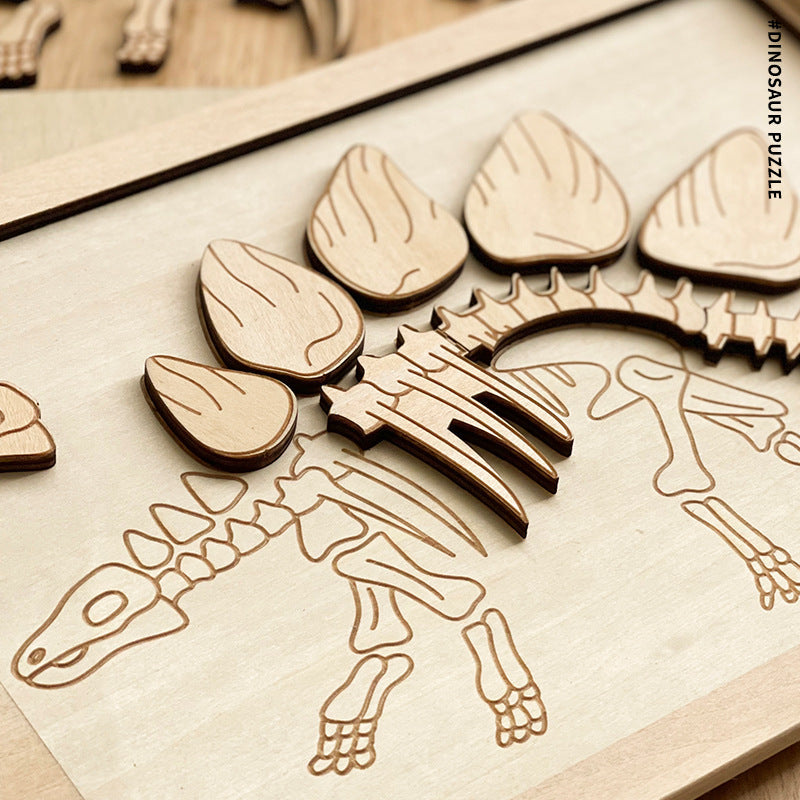 Dinosaur Fossil