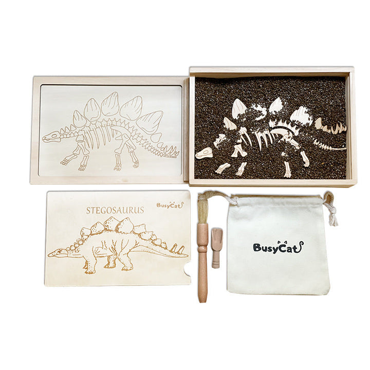 Dinosaur Fossil