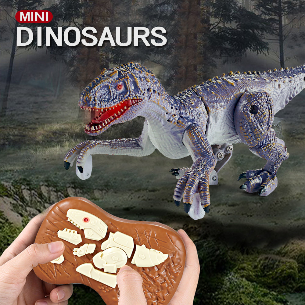 Mini  Remote Control Raptor