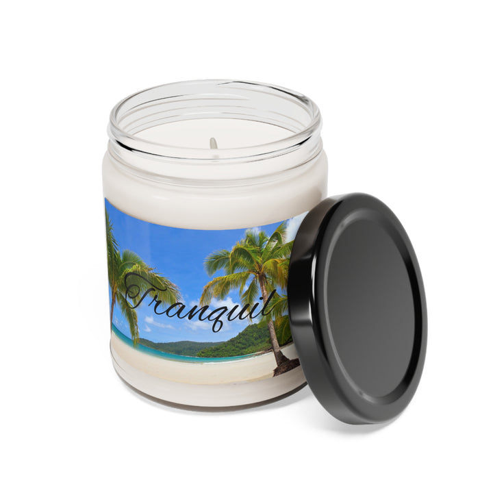 Tranquil Palm Tree Beach Scented Soy Candle, 9oz