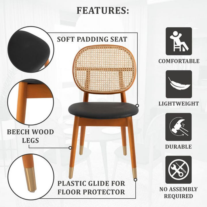Chair with features highlighted on a white background.