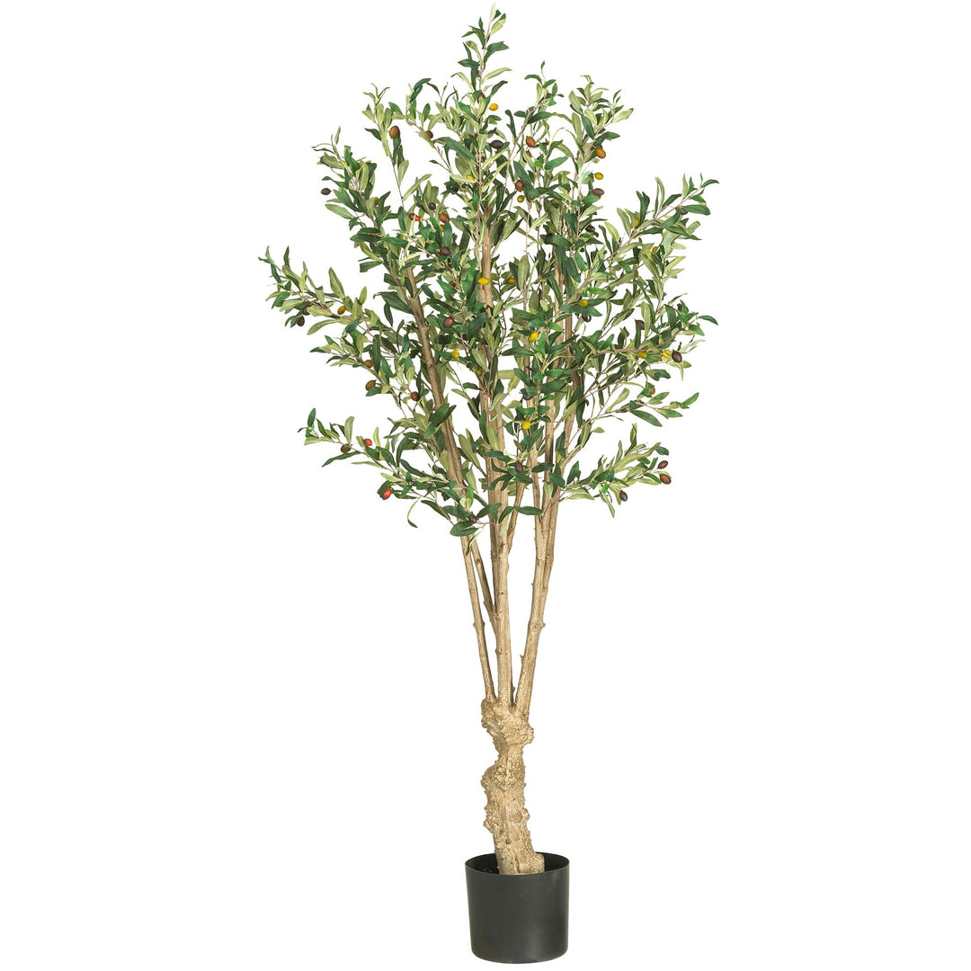 5 Foot Olive Silk Tree