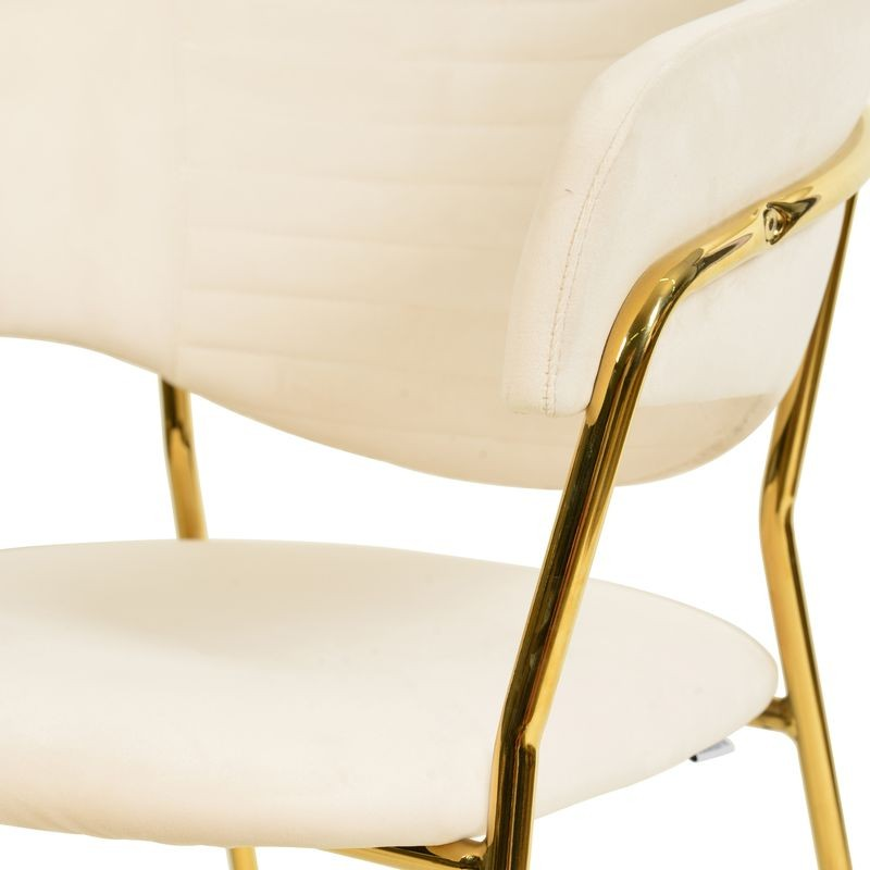 LeisureMod Bella Collection Modern Dining Chair in Off White Closeup.