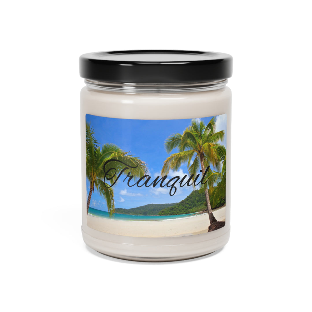 Tranquil Palm Tree Beach Scented Soy Candle, 9oz