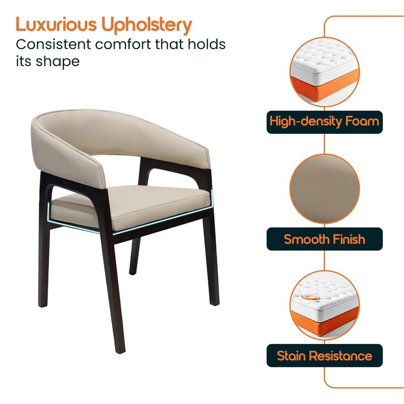 Chair with luxurious upholstery features highlighted on a white background.