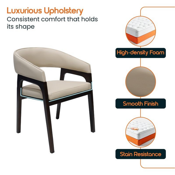 Chair with luxurious upholstery features highlighted on a white background.