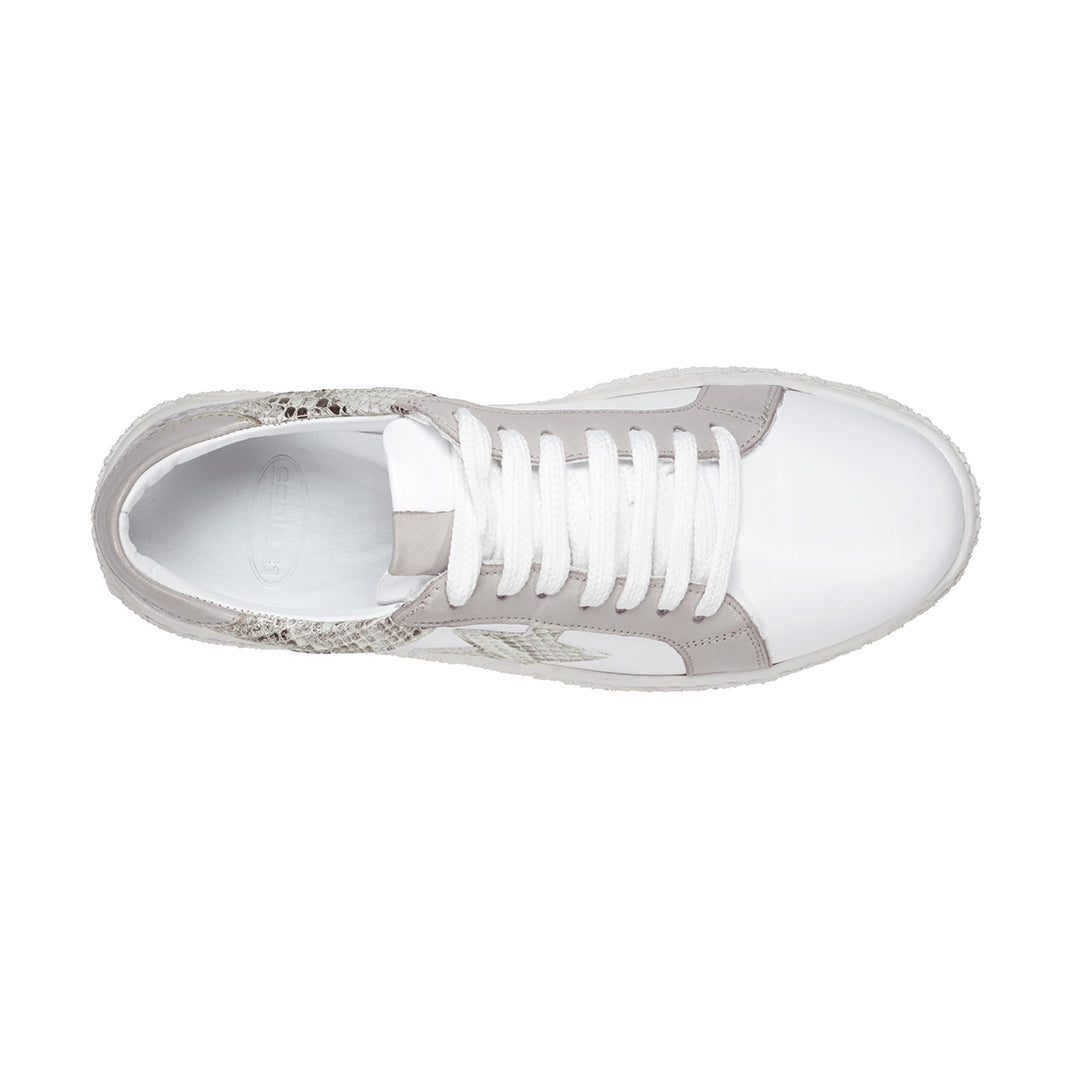 Charlee White Snakeskin Two-Tone Star Motif Lace Up Sneakers