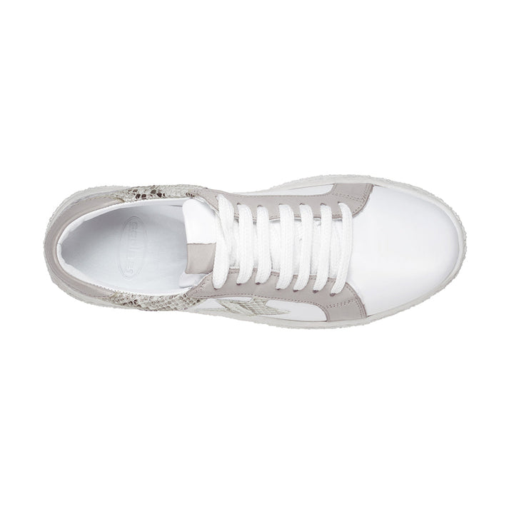Charlee White Snakeskin Two-Tone Star Motif Lace Up Sneakers