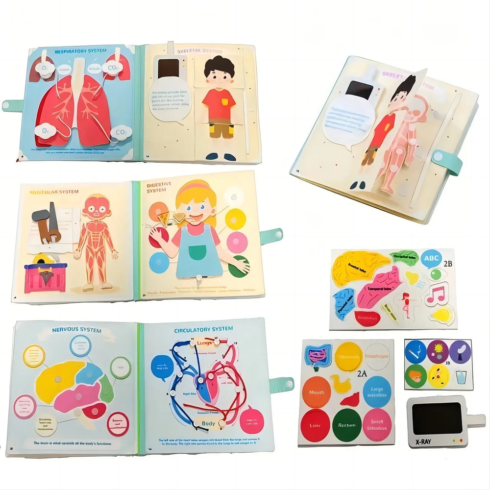 Educational children's books on human anatomy with colorful illustrations.