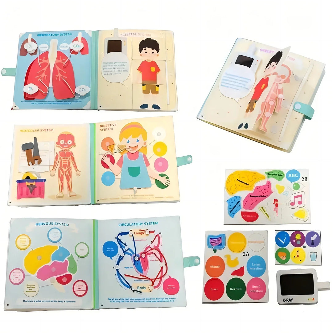 Educational children's books on human anatomy with colorful illustrations.
