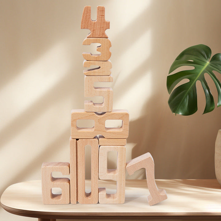 Digital Building Blocks