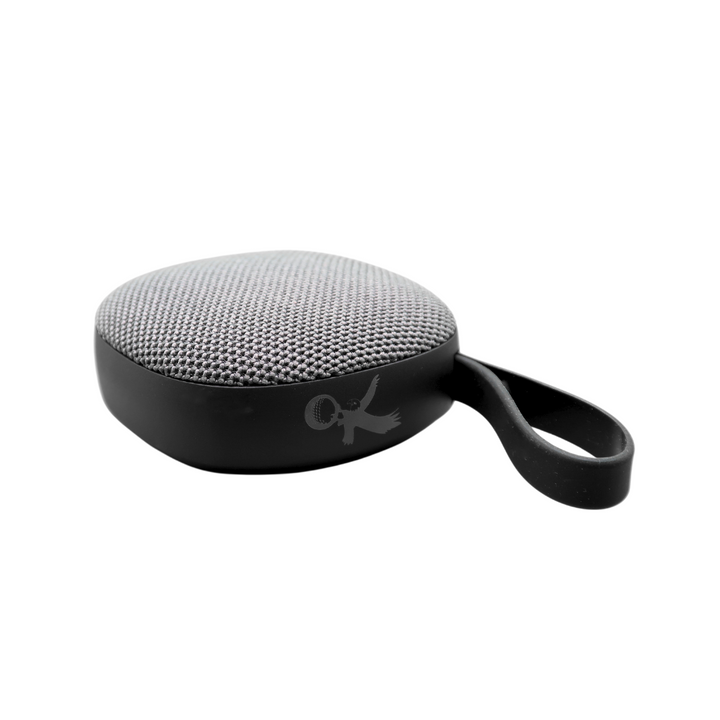 The Eagle Bluetooth Magnetic Speaker Photo.