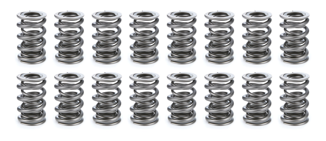 Valve Spring Set