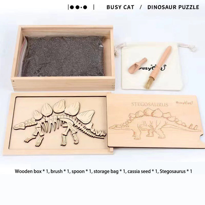 Dinosaur Fossil