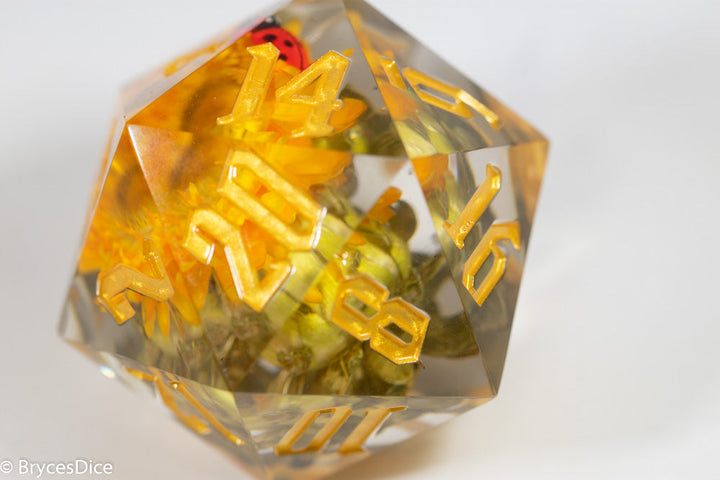 Marigold 55mm D20 44 Unique Options (See description)