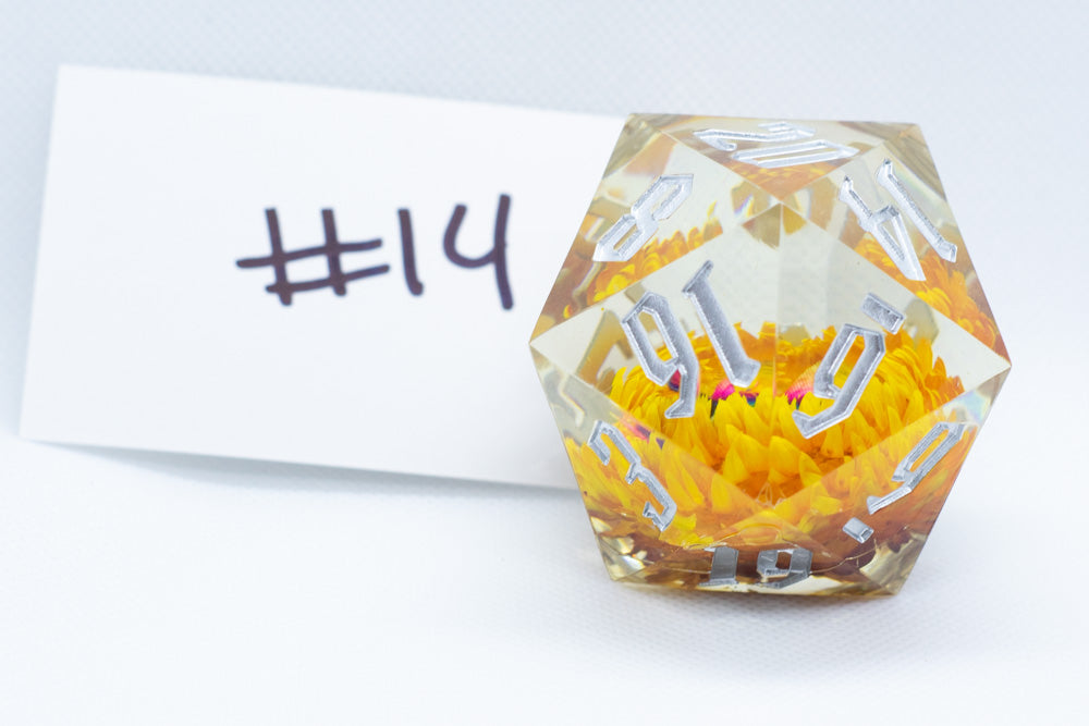 Marigold 55mm D20 44 Unique Options (See description)