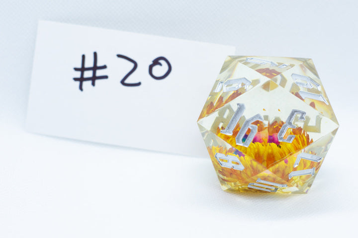 Marigold 55mm D20 44 Unique Options (See description)