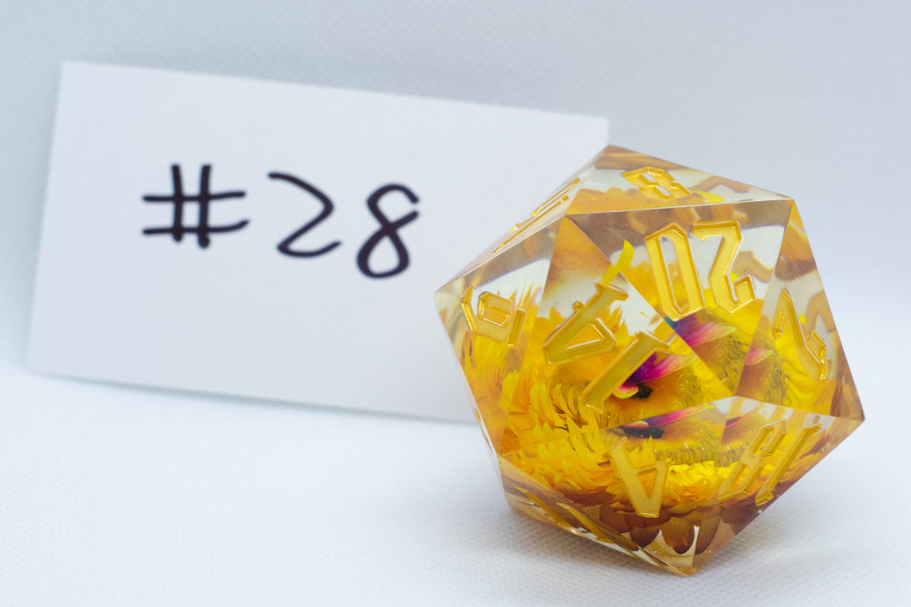Marigold 55mm D20 44 Unique Options (See description)