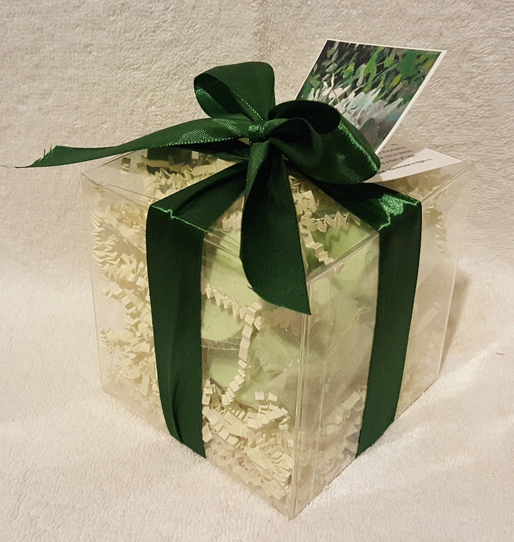 Eucalyptus and Spearmint 14-Pack Bath Bomb Gift Set