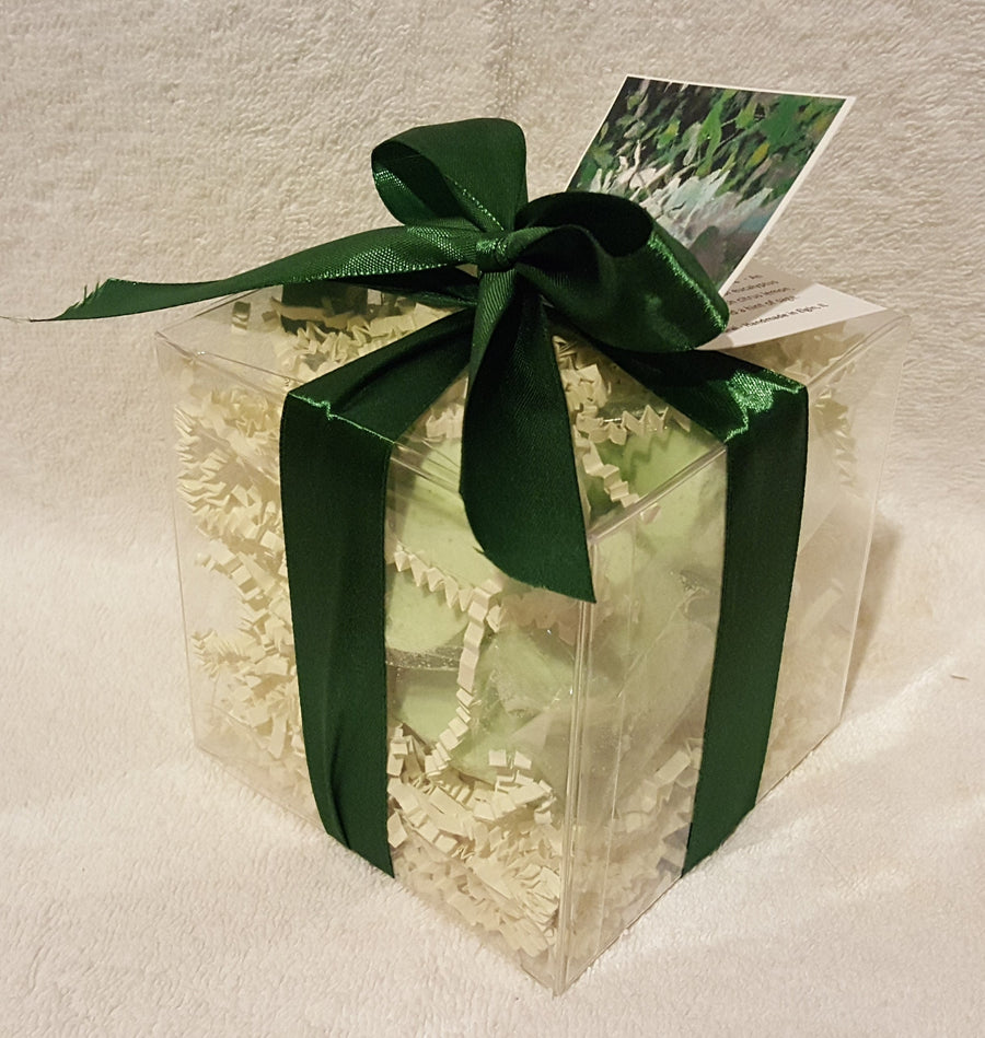 Eucalyptus and Spearmint 14-Pack Bath Bomb Gift Set