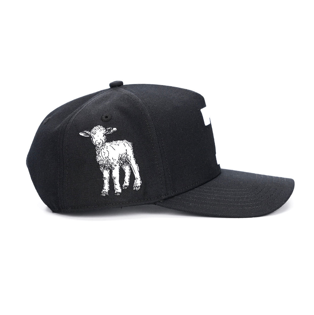 ‘7’ Premium Wool Blend Snapback - Black/White