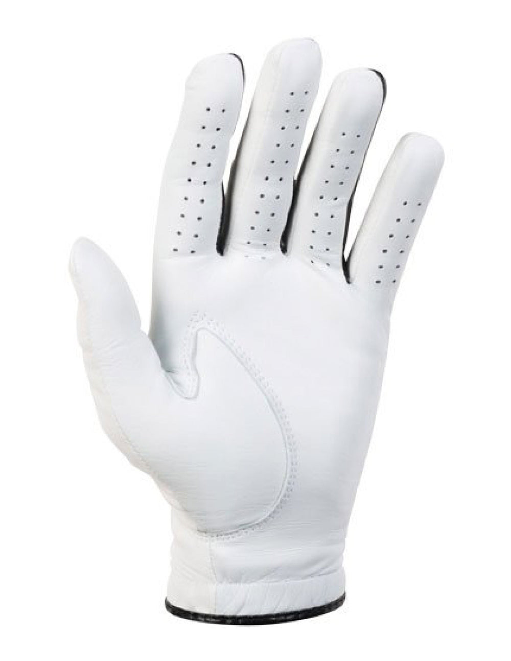 Eagle Golf Glove Inner Side