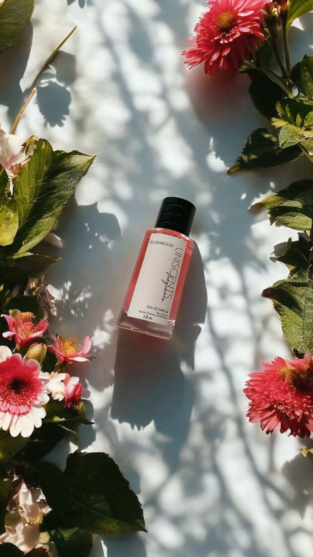 Blushwood Limited Release Uniscents Fragrance
