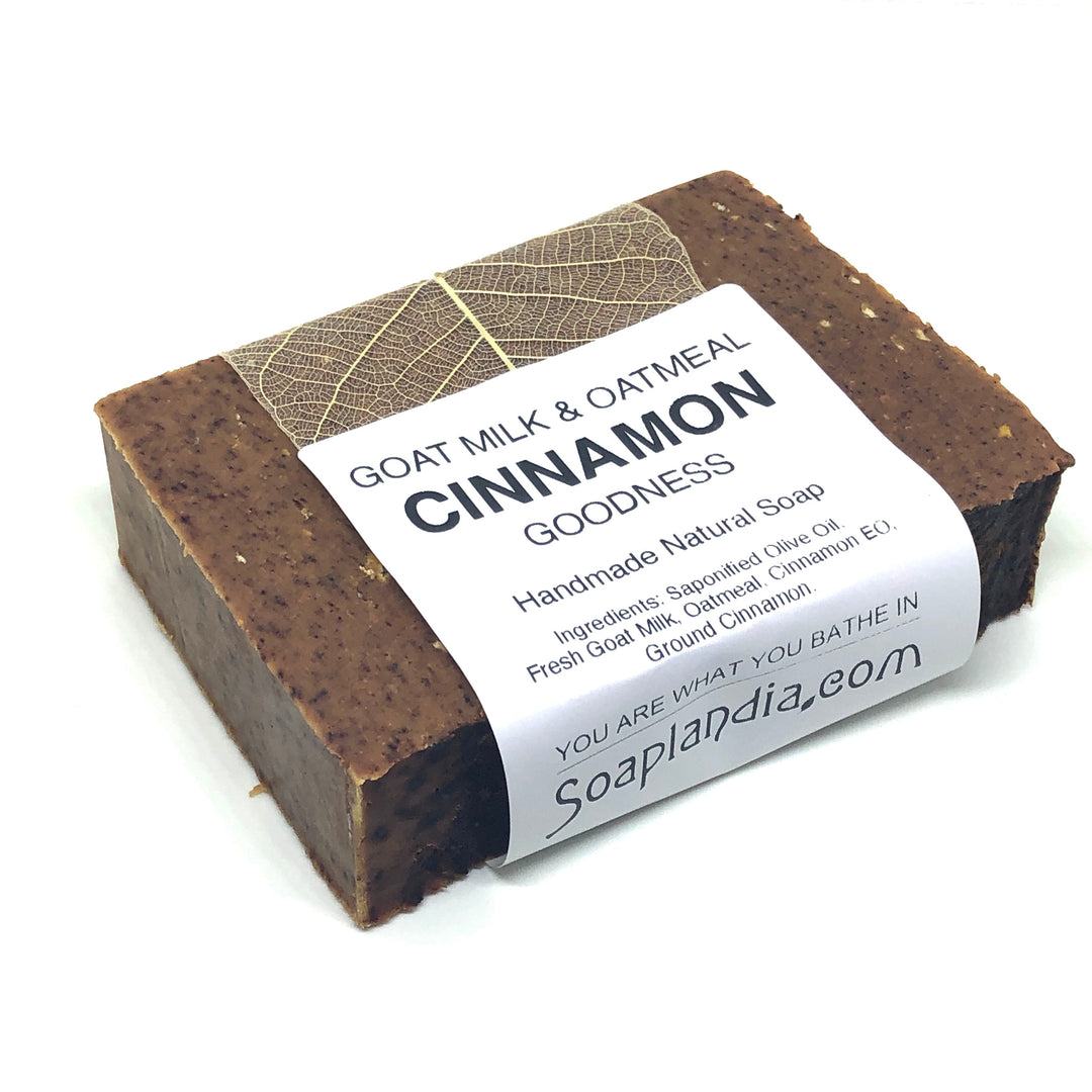 Goat Milk and Oatmeal Cinnamon Goodness Soap