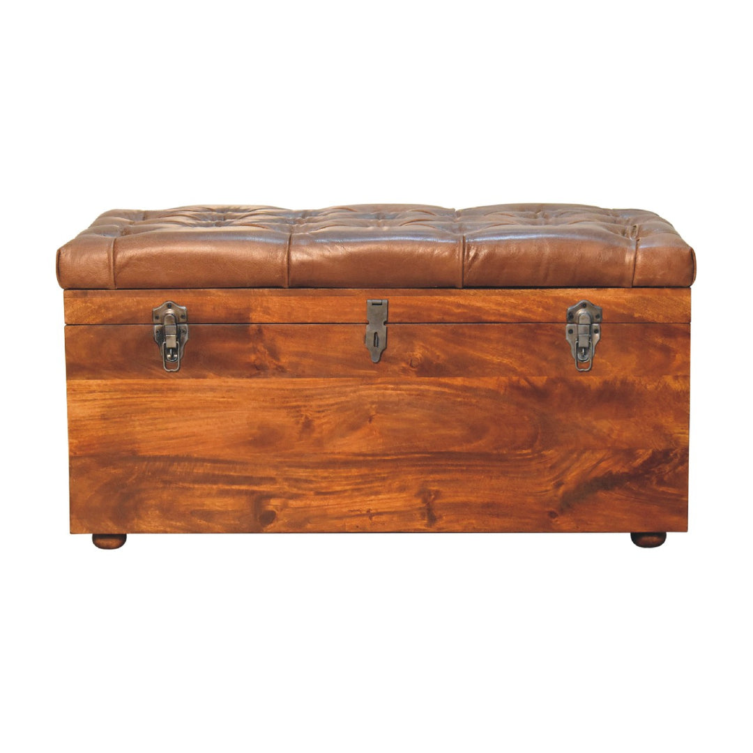 Buffalo Hide Chestnut Storage Trunk Photo 2