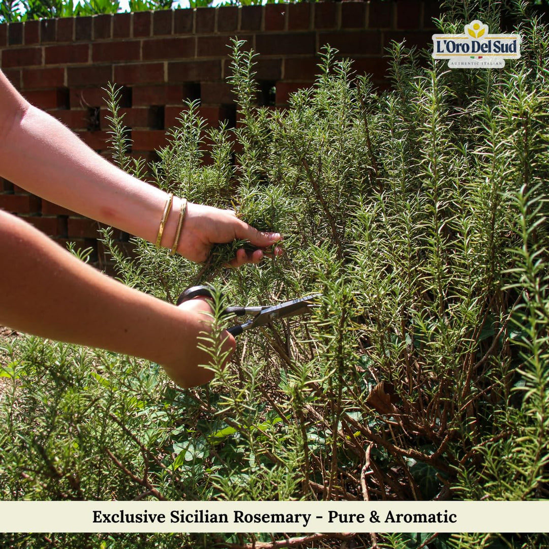 L’Oro Del Sud, Sicilian Rosemary Leaves, 2.11 oz. (60 g)