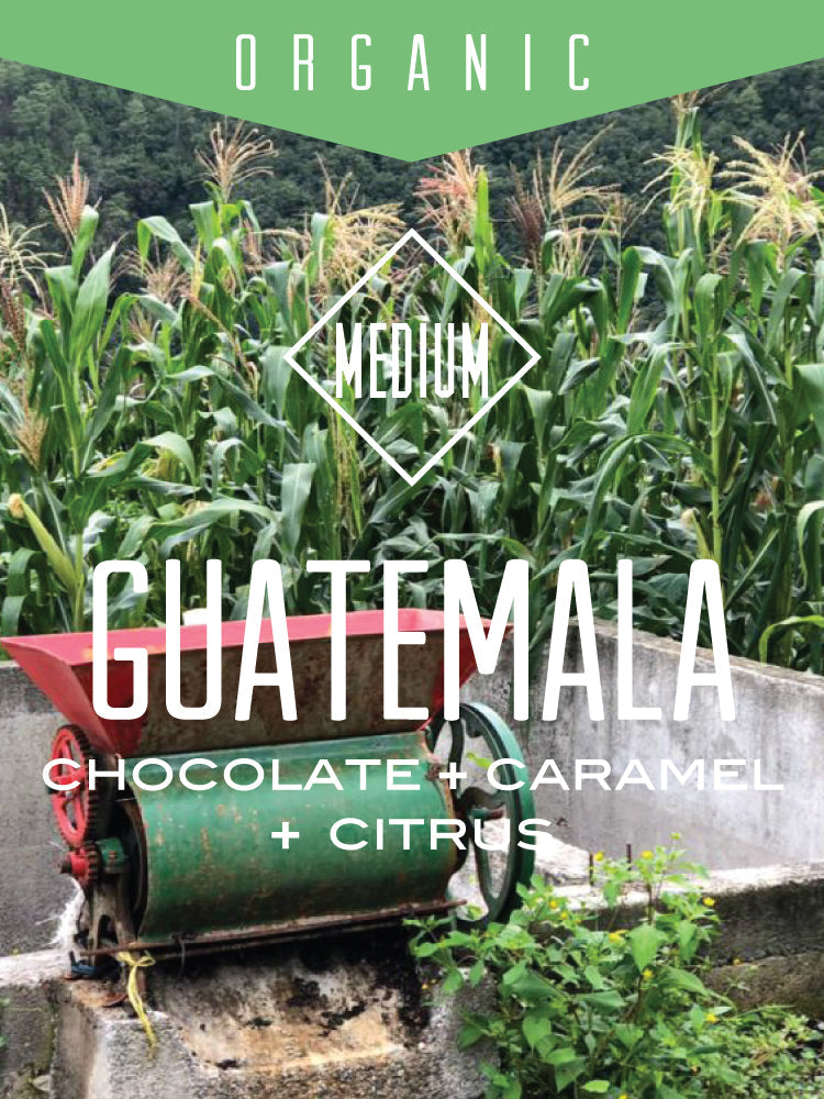Organic Guatemala Huehuetenango Coffee
